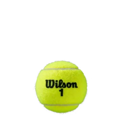 Wilson Roland Garros Clay - Individual Can (3 Balls) -Tennis Equipment Store WRT125000 3 Roland Garros Official Ball