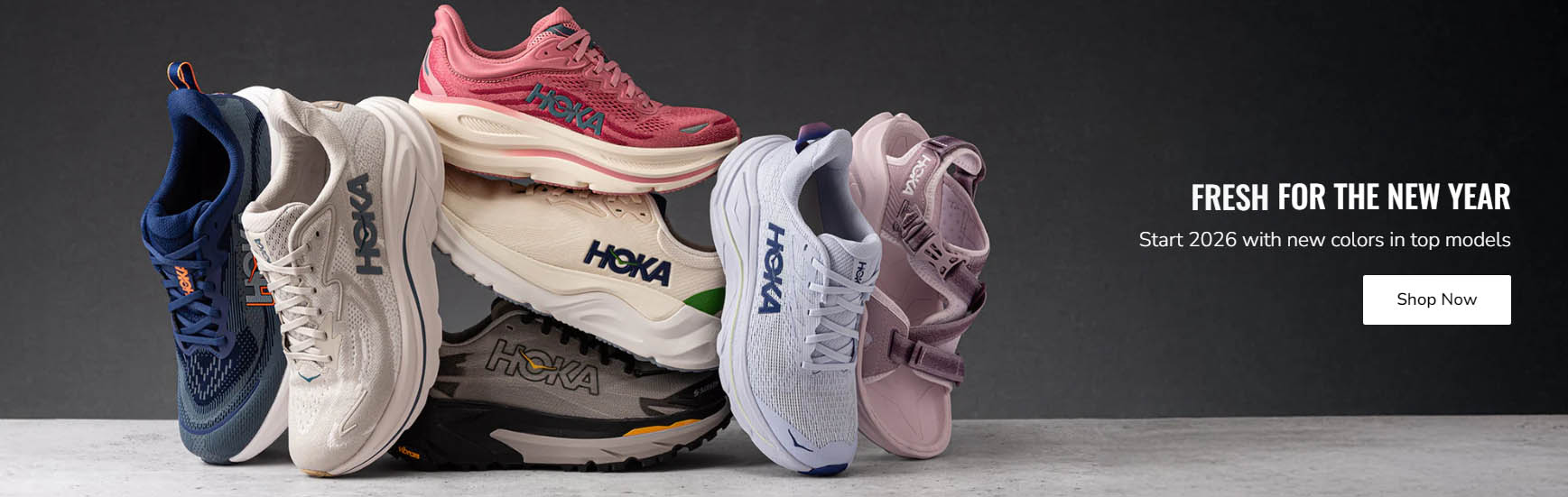 Tennis Equipment Store -Tennis Equipment Store ghjgf